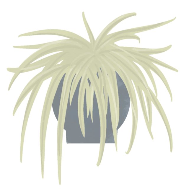 Spider-640x640
